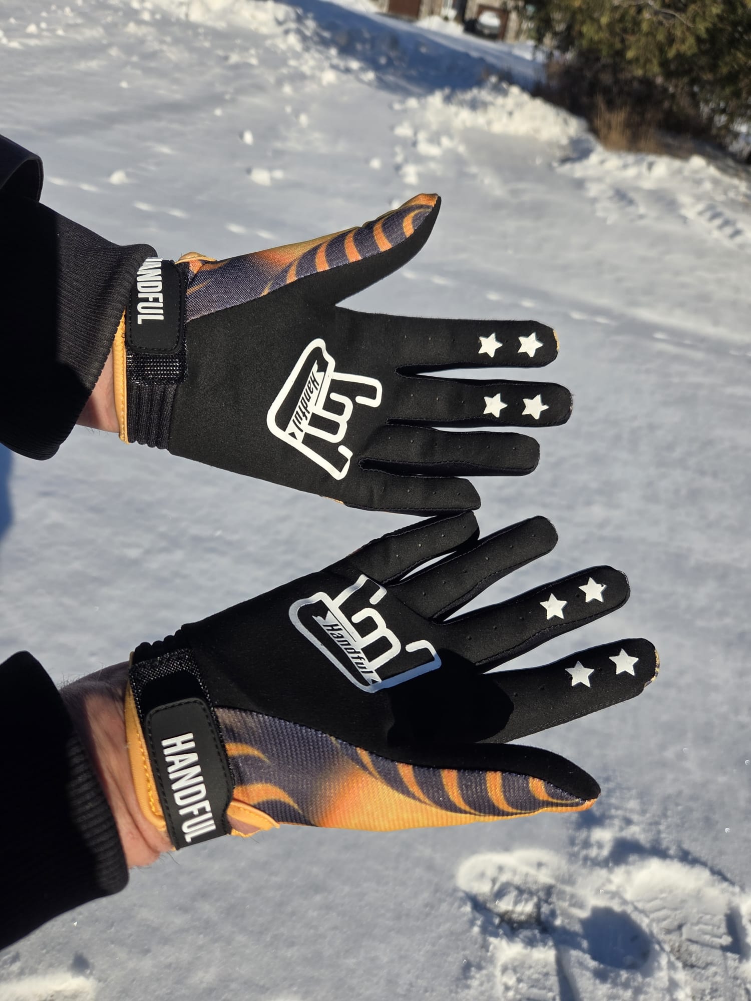 Signature Series - SWARM